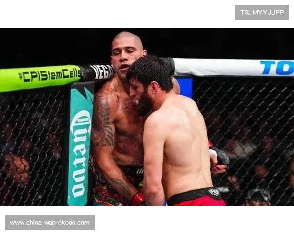 专家展望佩雷拉升重重量级,若成功将加剧史上最伟大选手争论